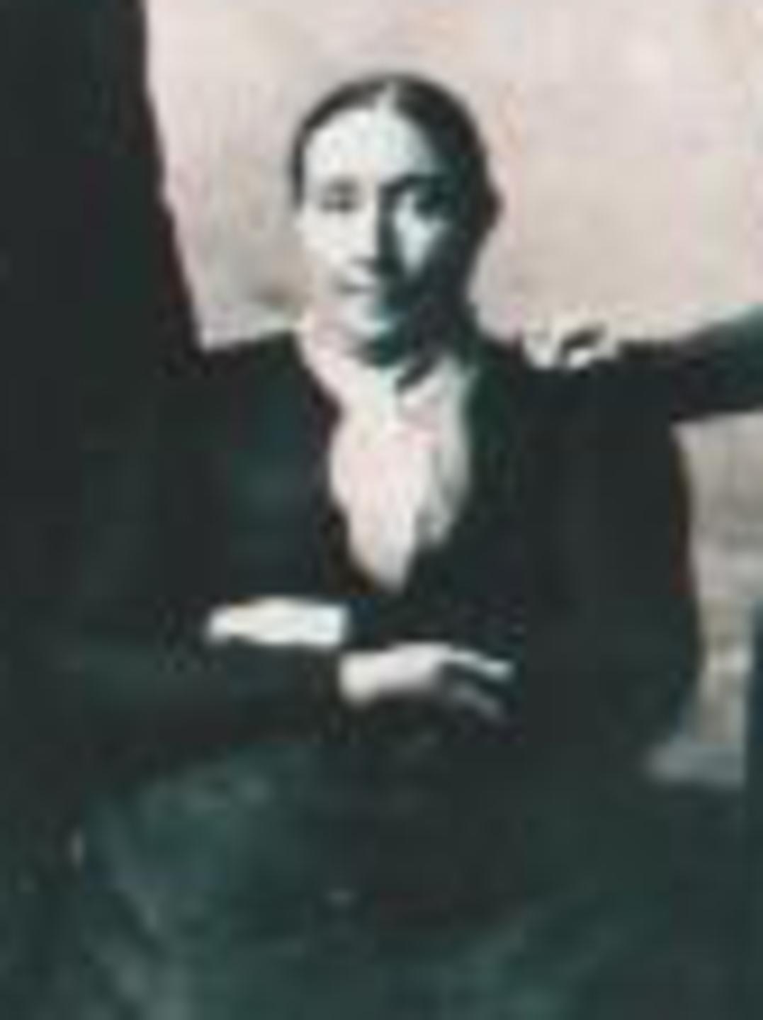 Sarah James Flake (1847 - 1910) Profile